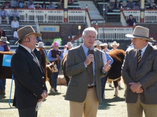 AMIC chairman Terry Nolan interviews MLA chair Don Heatley and Sanger Australia's Richard Rains during Brisbane Show