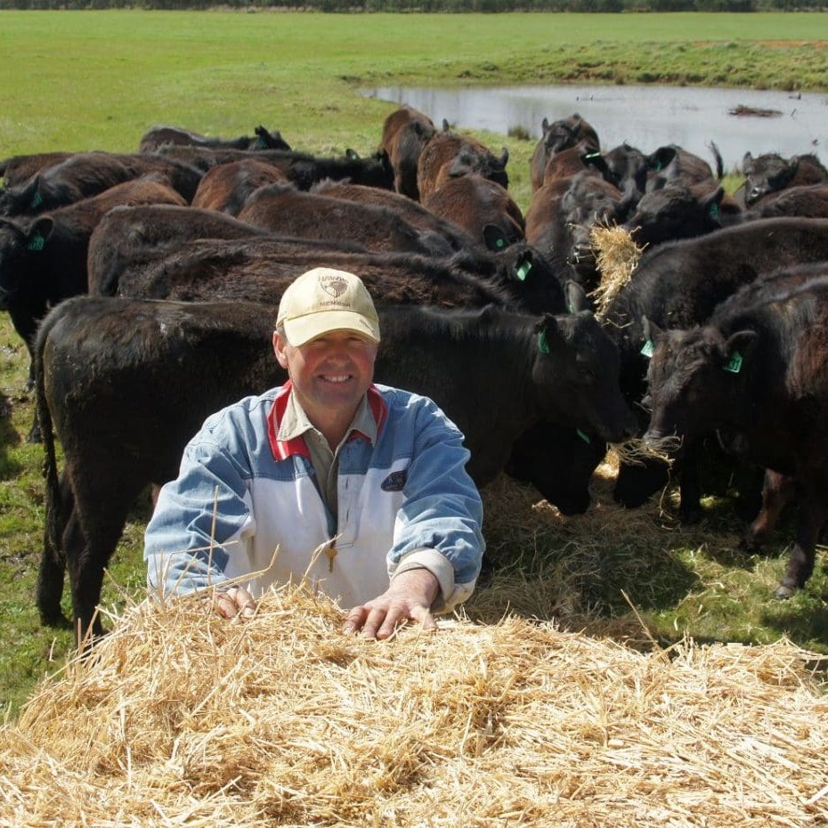 Forton's Antony Gunn with replacement heifers