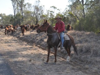 Michael Rayner on the road near Dulacca. Picture: Megan McNicholl.