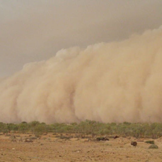 Dust storm on Dulkaninna Station in SA's north. Image: J Kemp.  