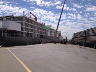 : The MV Dareen loading 6500 heifers at Port Adelaide recently for delivery to the southern Russian port of Novorossiysk .