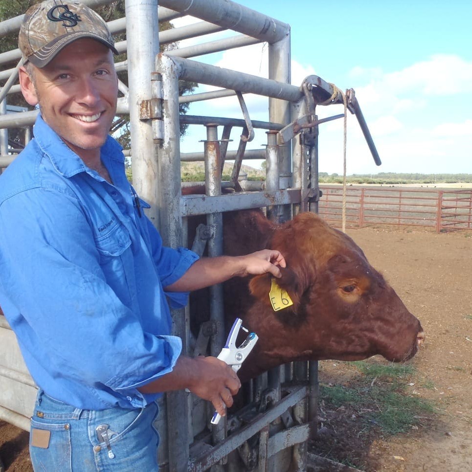 WA vet and reproductive management expert, Enoch Bergman