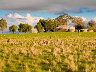 Is a beast area an accurate way to establish the value of a rural property? No argues Brisbane based rural financial consultant Michael Vail.