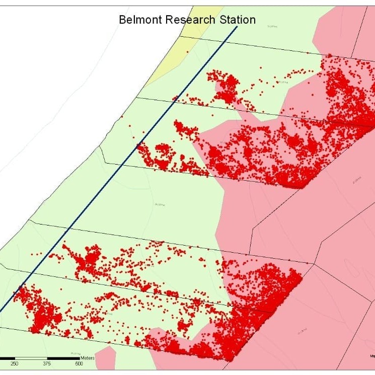 Source: Dr Greg Bishop-Hurley, CSIRO Livestock