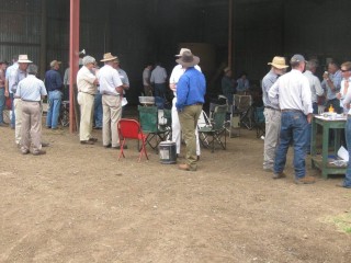 A section of the crowd that attended the field day at Bonnie Doon near Bell in Southern Queensland in early December last year.