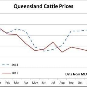 Figure 1 shows that prior to the selection project the DDRS herd was below the industry average for days-to-calving EBV, but when selection pressure was applied the response was immediate and dramatic