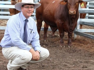 Jason Childs with Glenlands $42,500 sale topper