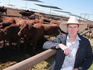 Godfrey Morgan with the winning pen of Shorthorn steers at Mort & Co's Grassdale feedlot on Tuesday.