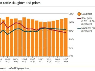 Rising supplies of beef are expected to translate into an easier trend for beef prices in real terms in the medium term. Click on graphs below story to view in larger detail. 