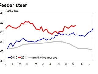 Source: Meat & Livestock Australia