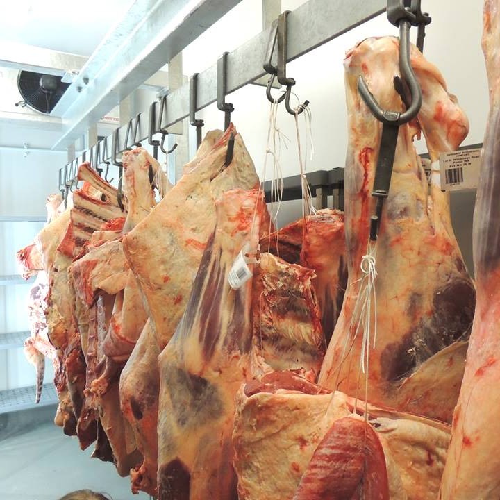 Quarters hanging in the shop's conventional chiller space. A second low-humidity dry-aging chiller is also used. Photo: Jessica Shaver.