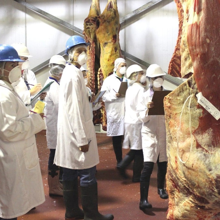 Students from 18 secondary schools across NSW competed in the ICMJ meat judging contest at Primo abattoir, Scone