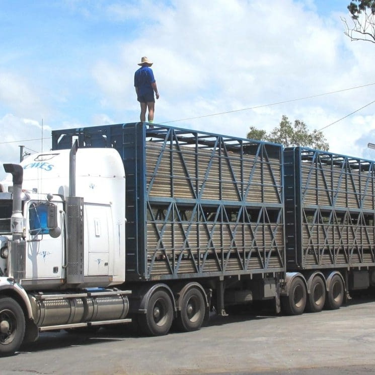 Livestock haulage jobs ireland
