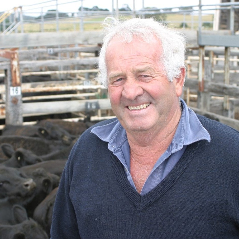 Benara Pastoral Co manager Colin Creek said the company's 274 Angus steers (av 342kg) averaged 185c/kg at Casterton this year, up from 182c/kg for 265 337kg steers last year. 