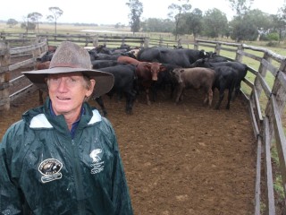 Southern Queensland beef producer Lee McNicholl, 'Arklow', Dulacca, says the sums of planting oats to take feeder steers through to bullock weights don't add up this year.