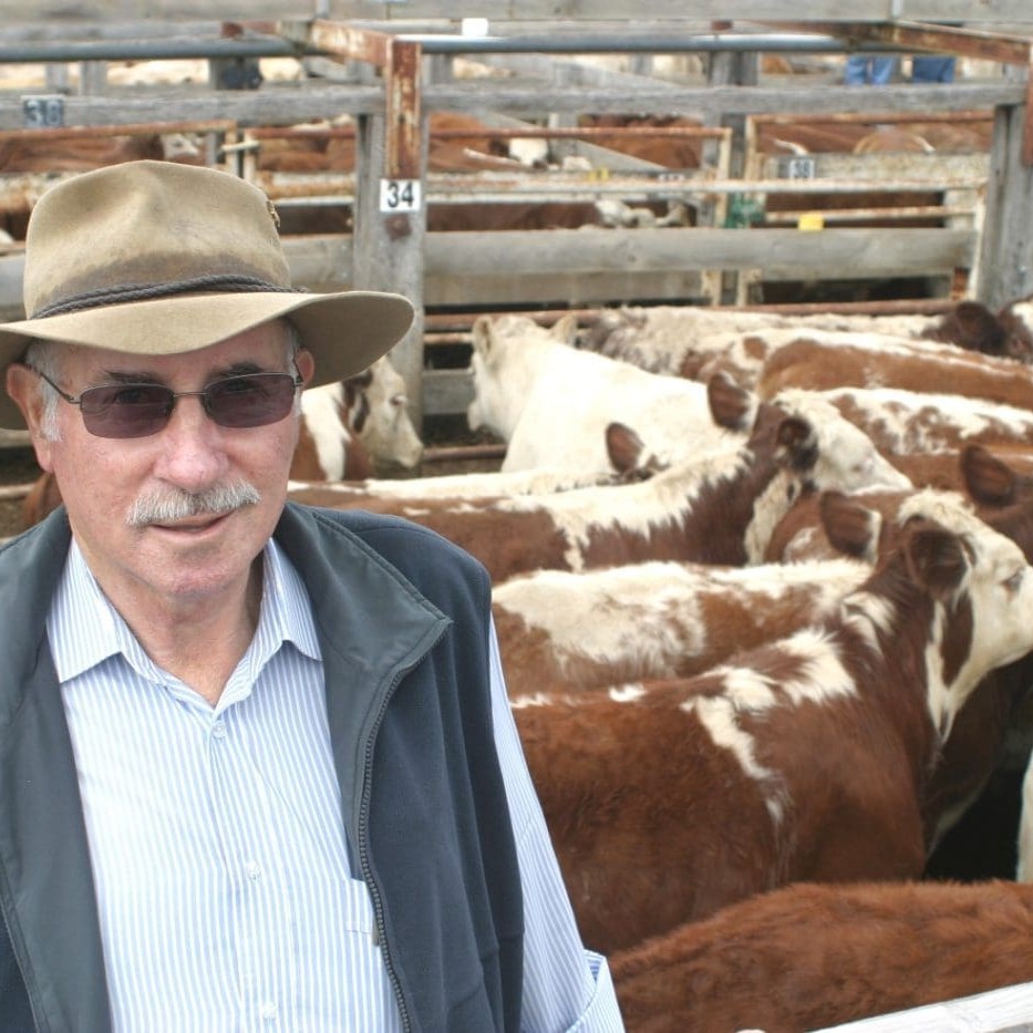 Mt Gambier bullock finisher Max Saffin.