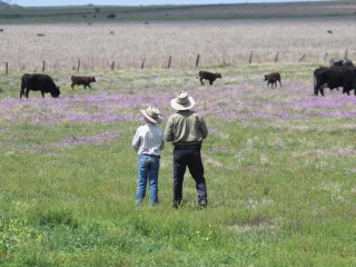 Data shows that the use of Farm Management Deposits across Australia is increasing.