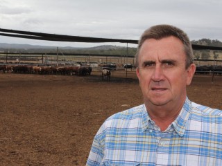 Geoff Willett, Maydan Feedlot, Warwick, in front of a pen of cattle on feed for the Primex Pacific Beef Carcase Competition. 