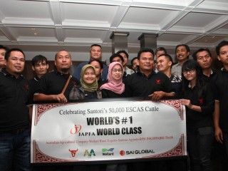 Santori staff and animal welfare officers at the 50,000 ESCAS cattle celebration in Jakarta last Thursday night.