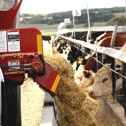 Feeding operations at Iranda Beef feedlot in SA