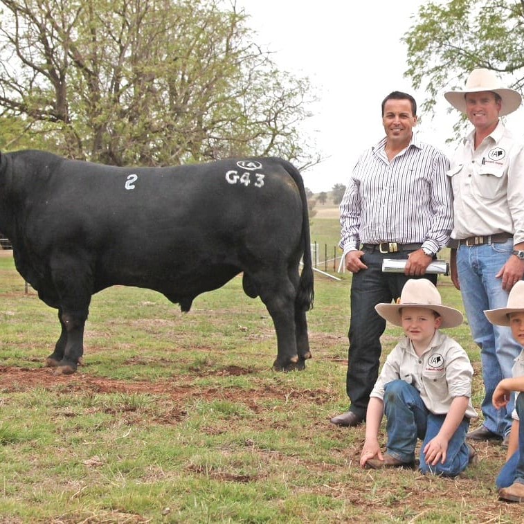 Pictured with the new $117,500 Angus breed record-priced bull are from left, buyer, Sam Trovatello, Adameluca stud, with Corey and Prue Ireland and their children Charlie and Will.