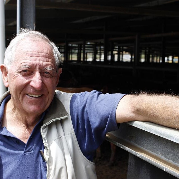 South Australian independent livestock agent Jeff Emms at the Mount Compass saleyards, south of Adelaide