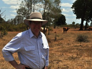 Queensland agriculture minister John McVeigh at Richmond.