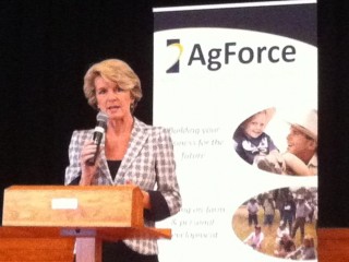 Julie Bishop addresses an AgForce forum in Roma on Wednesday.