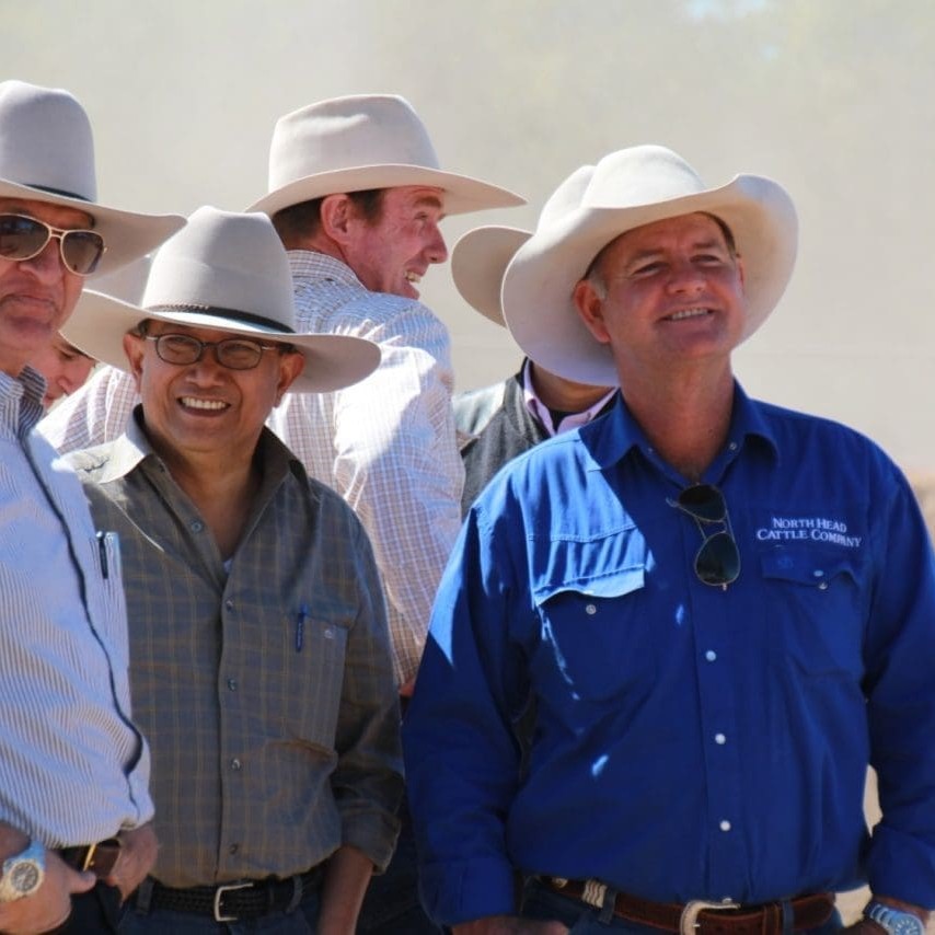 Bob Katter, Indonesian ambassador Nadjib Riphat Kesoema, and northern Queensland cattlemen Russell Lethbridge and Barry Hughes in the Vanrook cattle yards.