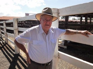 Ken Waters at the Harristown saleyards in Toowoomba, where he has worked for 50 of his 68 years as a livestock agent. 
