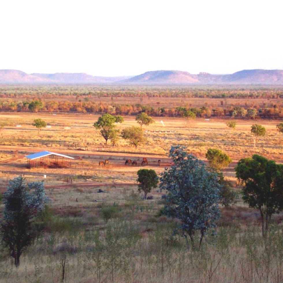 Kidman Springs facility in the VRD district 