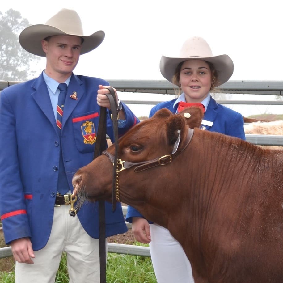 Downlands school cattle team captains, Bruce Corfield and Jacinta Brennan, with this year's donation steer, Kelynack Horatio