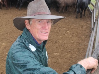 Western Darling Downs cattleman Lee McNicholl, with steers typically worth an extra 20c/kg liveweight through MSA and breed premiums