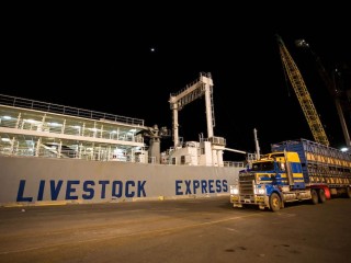 The Federal Government has imposed an immediate suspension on Australia's live cattle export trade to Indonesia. 