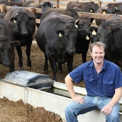 Scott de Bruin, pictured in the feedyard at Mayura Station near Millicent in South Australia, received a gold medal from the Wagyu branded beef competition  