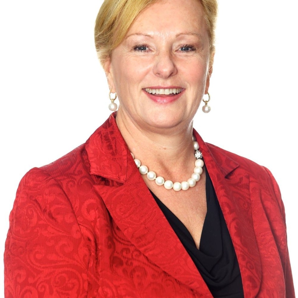 Michele Allan is the new MLA chair, following Rob Anderson's resignation this afternoon 