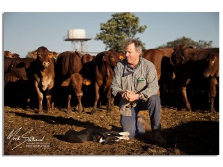 Michael Thompson at Mundabullangana Station in Western Australia's Pilbara region. Picture courtesy of Mark Stothard www.truenorthmark.com