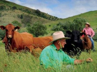 Meat and Livestock Australia has released its annual report ahead of its annual general meeting in Longreach later this month. Click on link in story to read the annual report in full. 