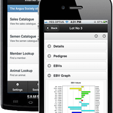 Technology: New App makes bull buying easier - Beef Central