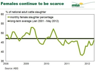 Female cattle as a percentage of the national adult cattle kill. To view in larger format click on image below article.