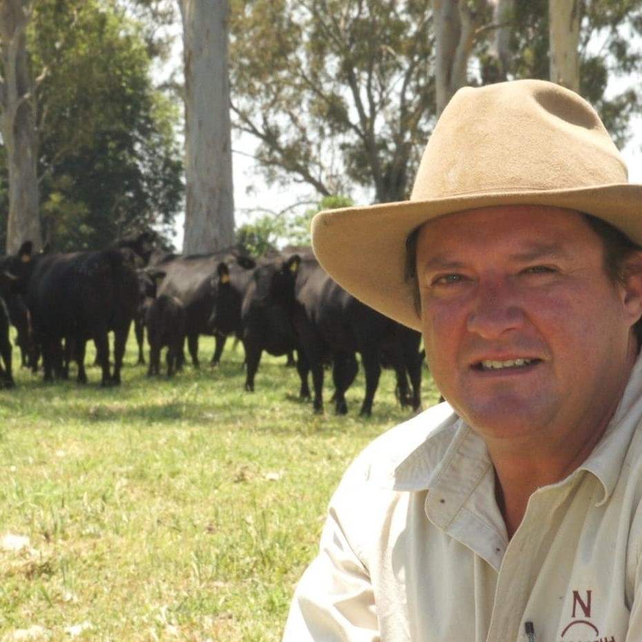 Nindooinbah's Nick Cameron with UltraBlack cows and calves