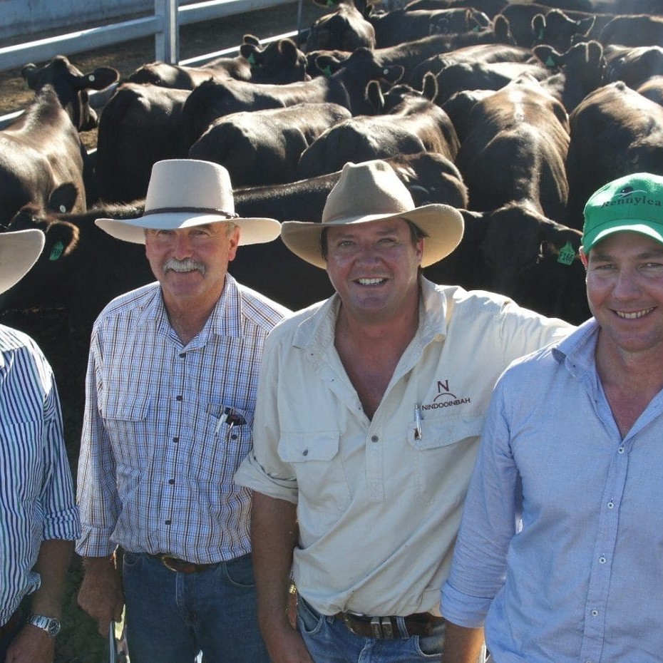 Nindooinbah manager Nick Cameron, second from right, with buyers Robert Mackenzie, Moyallen, Morven; Steve Taylor, Moriah, Chinchilla; and Cameron Angel, Belbroughton Holdings, Gympie. Collectively the group bought 38 registered heifers. 