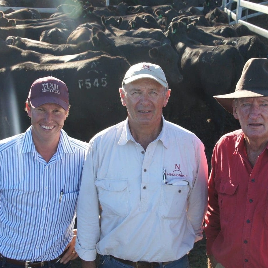 Nindooinbah principal Euan Murdoch, centre, with heifer buyers Stephen Pearce, Telpara Hills, Atherton (left) and Ian Cameron, Cameron UltraBlacks, The Gums. The pair bought 30 heifers in total.