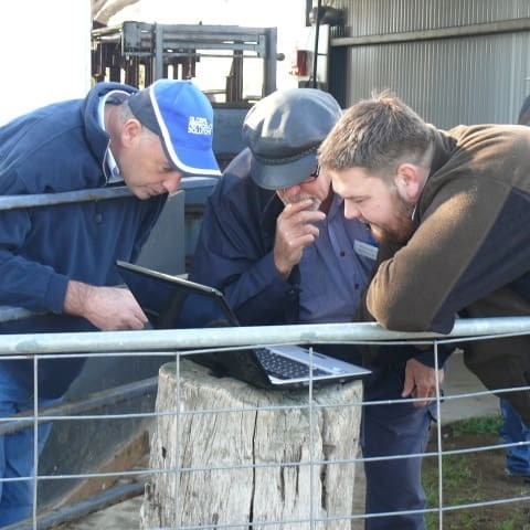 Goorambat Wagyu principal Dominic Bayard (left) explains some technical issues to some visitors at the Goorambat Wagyu field day