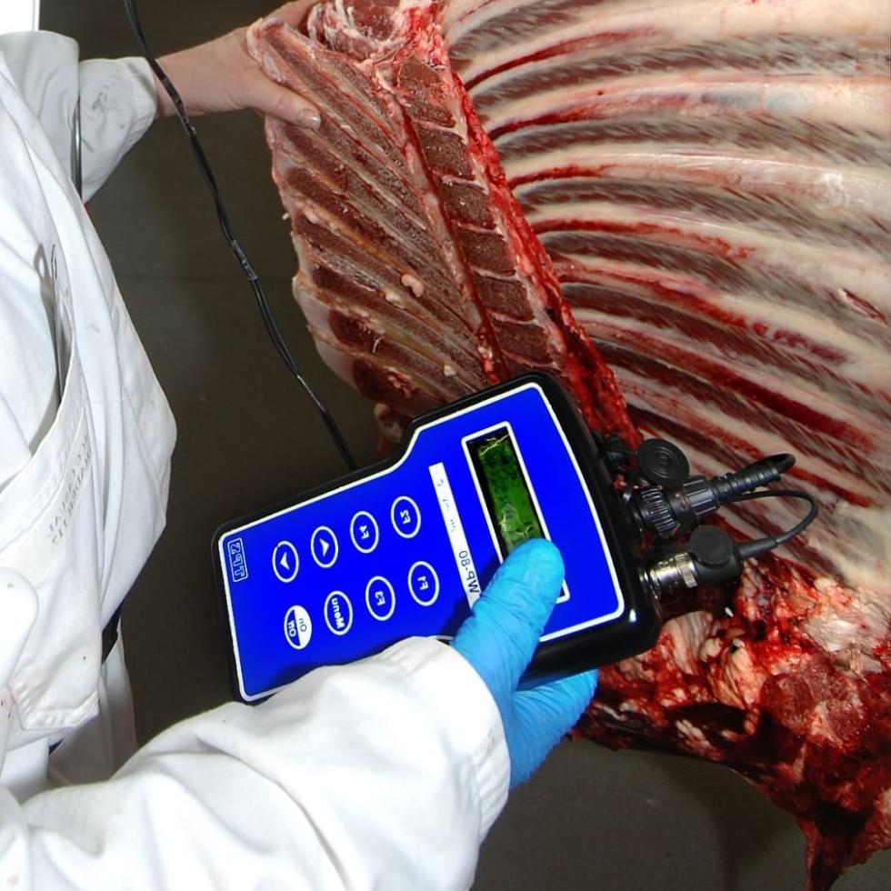 Ph testing during MSA grading