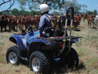 A quad bike fitted with the rear mounted Quad Bar roll protection device.