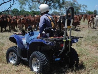 A quad bike roll bar designed by David Robertson, QB Industries, Clifton. 