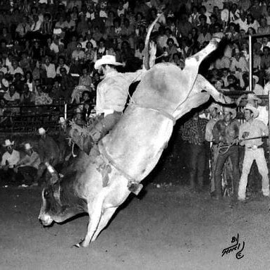 John Quintana winn ing the 1971 world bull-riding championship aboard V61.