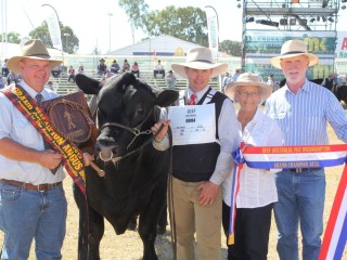 David, Andrew, and Jill Raff, Raff Angus Drillham, with their Beef 2012 grand champion Angus bull Raff Angus Empire, and Australian Angus vice president Michael Gadd, Walwa, Victoria.