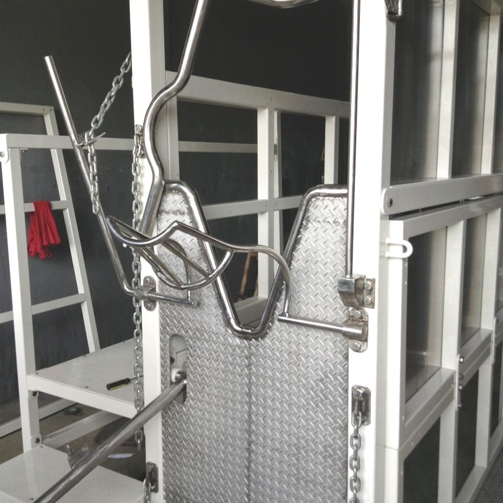 New product briefs: Halal box; Platino Flattener; Rapid feed testing